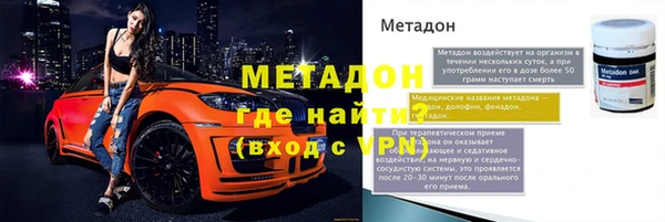 стаф Алзамай