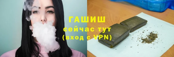 стаф Алзамай