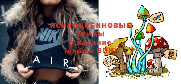 стаф Алзамай
