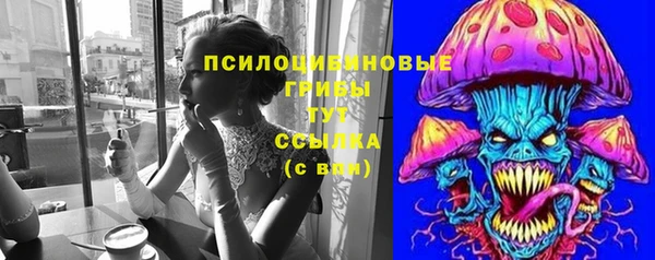 стаф Алзамай