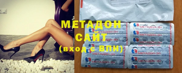 стаф Алзамай