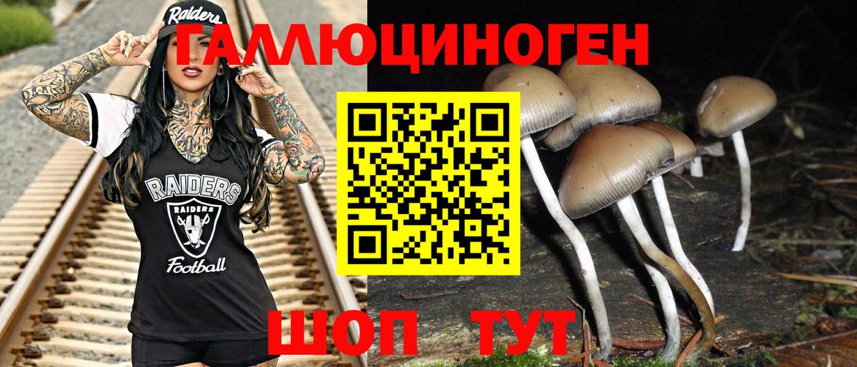 Минусинск  Галлюциногенные грибы мухоморы  Вход с VPN  Галлюциногенные грибы Psilocybine cubensis 