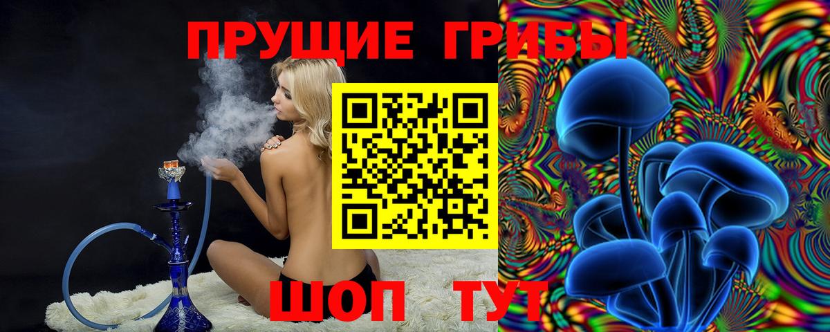 Псилоцибиновые грибы мицелий Минусинск